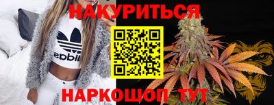 стаф Бийск