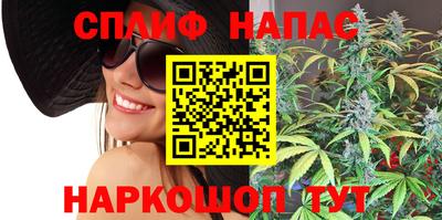 стаф Бийск